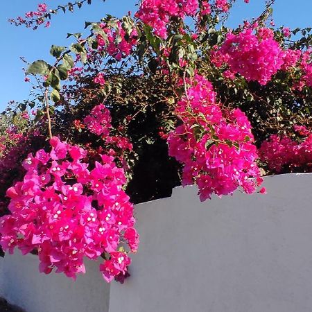 La Casa Del Nonno Bed & Breakfast Milazzo Exterior photo