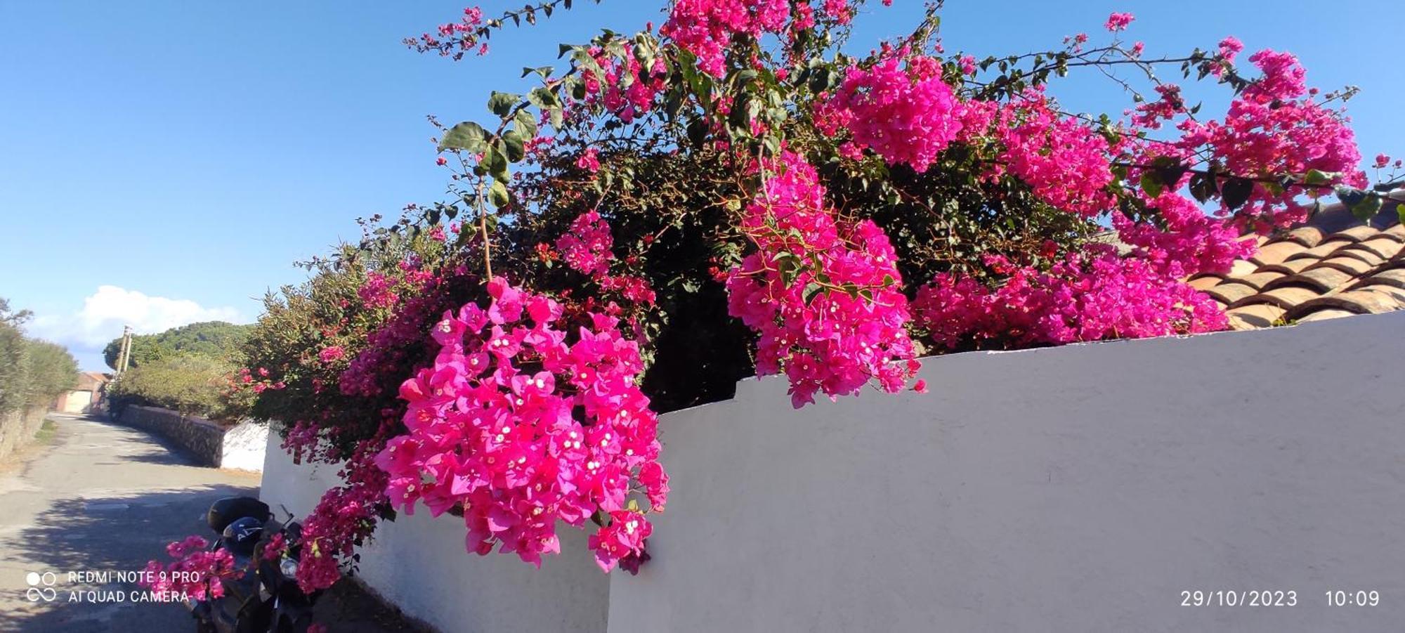La Casa Del Nonno Bed & Breakfast Milazzo Exterior photo