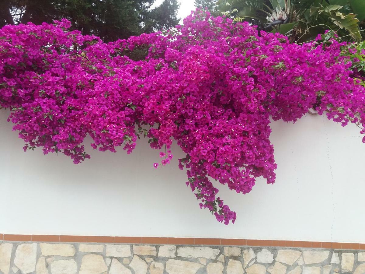 La Casa Del Nonno Bed & Breakfast Milazzo Exterior photo